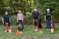 20250831_ADCP_Rally_Cugy_001