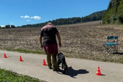 20250831_ADCP_Rally_Cugy_020