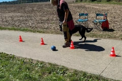 20250831_ADCP_Rally_Cugy_021