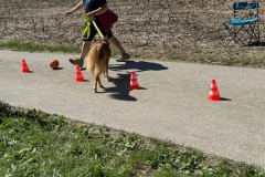 20250831_ADCP_Rally_Cugy_023