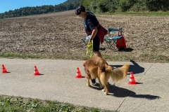 20250831_ADCP_Rally_Cugy_024
