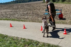 20250831_ADCP_Rally_Cugy_032